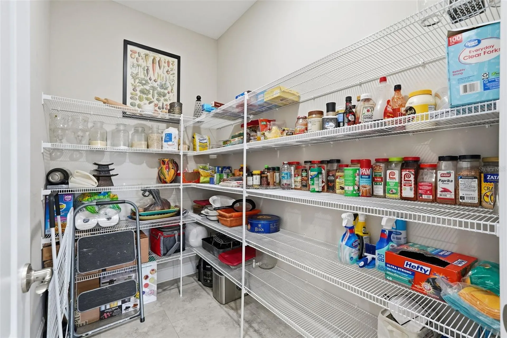 5218 Lake Venice Drive Wimauma FL 33598