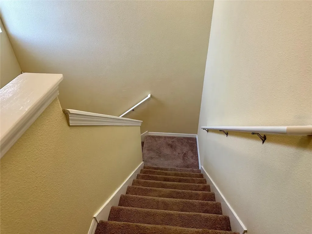 9908 Spice Bush Court Tampa FL 33647