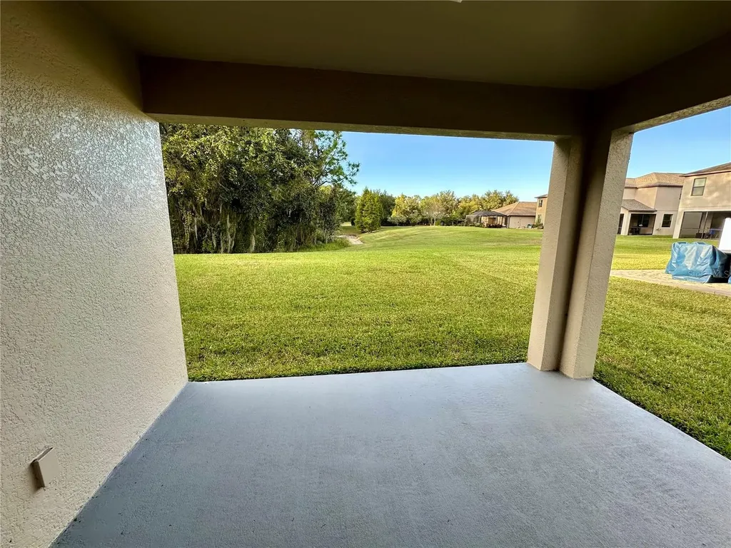 9908 Spice Bush Court Tampa FL 33647