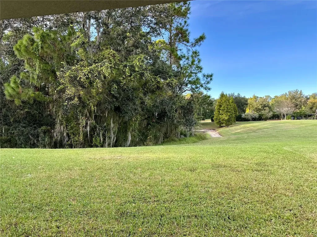 9908 Spice Bush Court Tampa FL 33647
