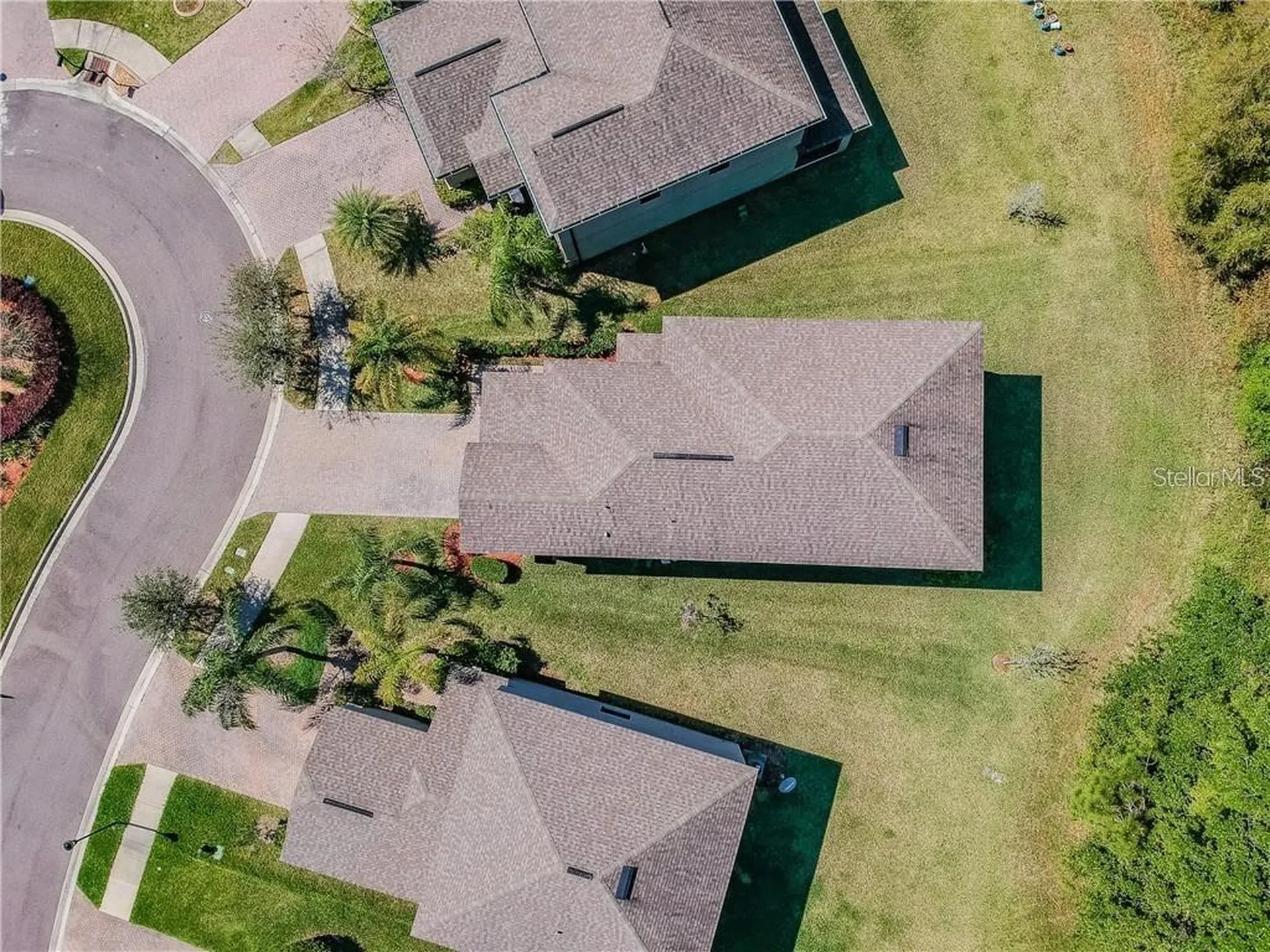 9908 Spice Bush Court Tampa FL 33647
