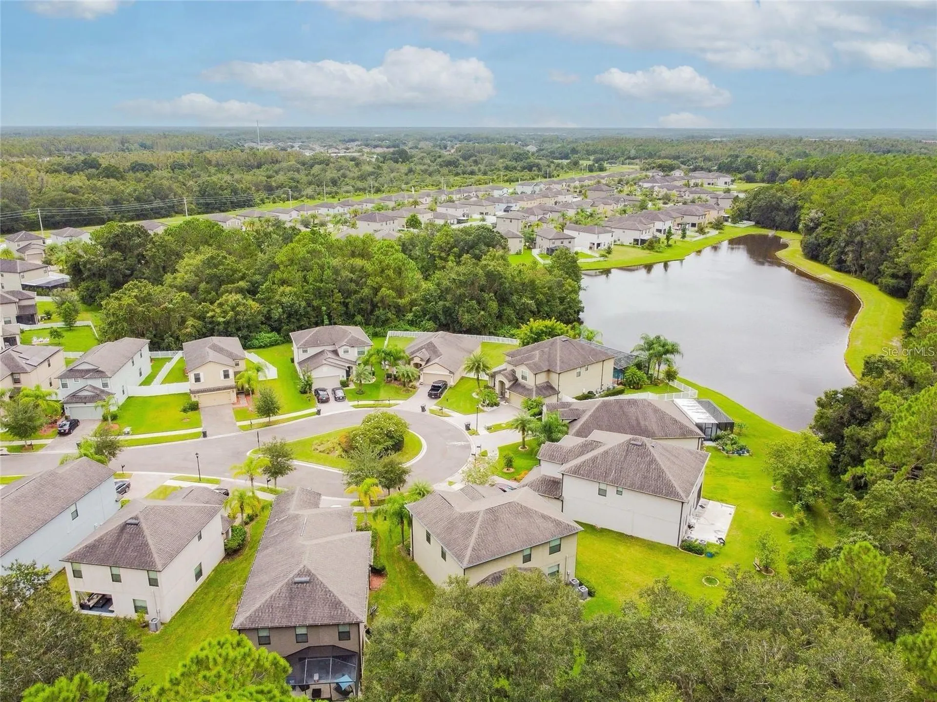 9908 Spice Bush Court Tampa FL 33647