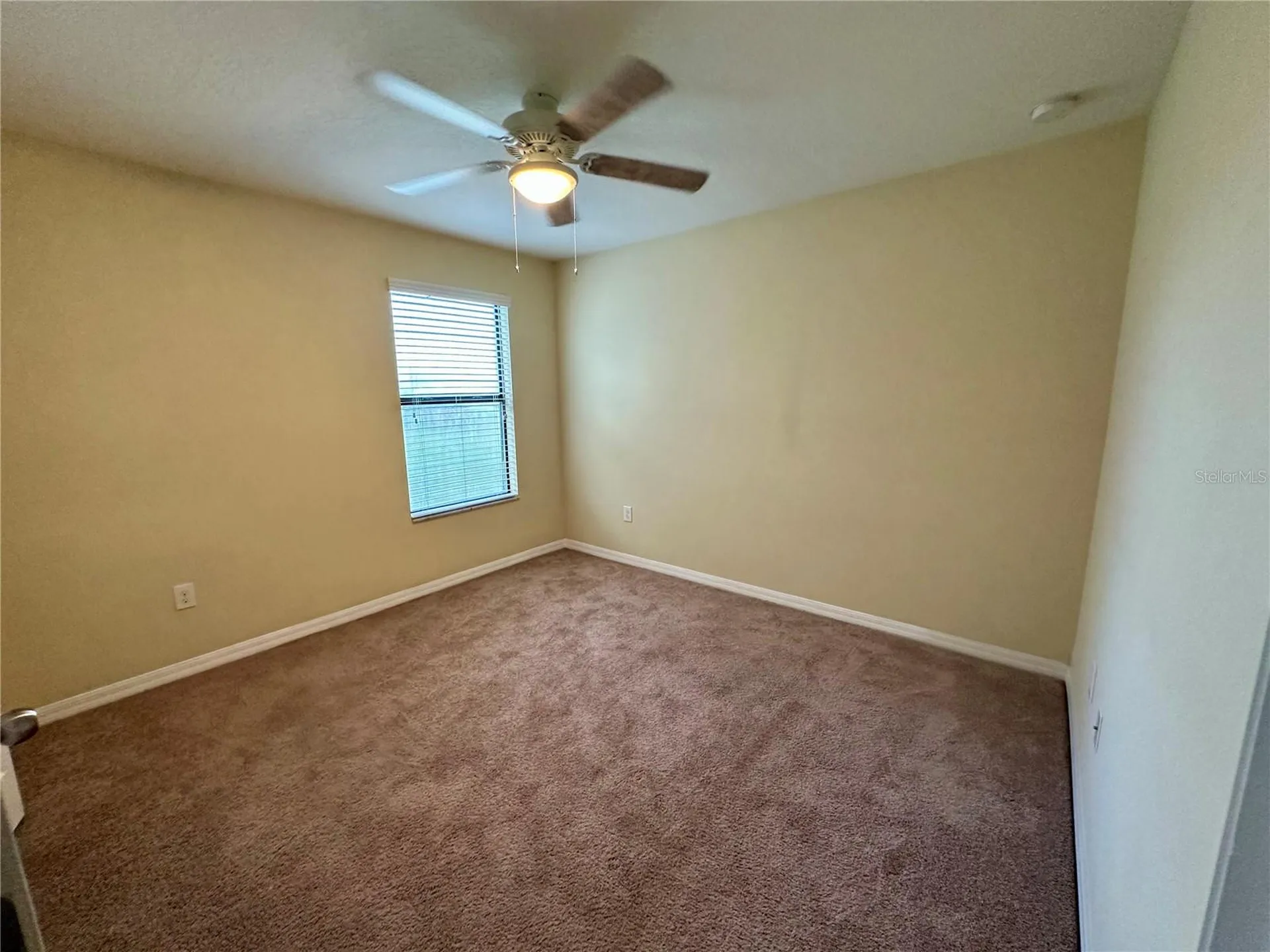 9908 Spice Bush Court Tampa FL 33647