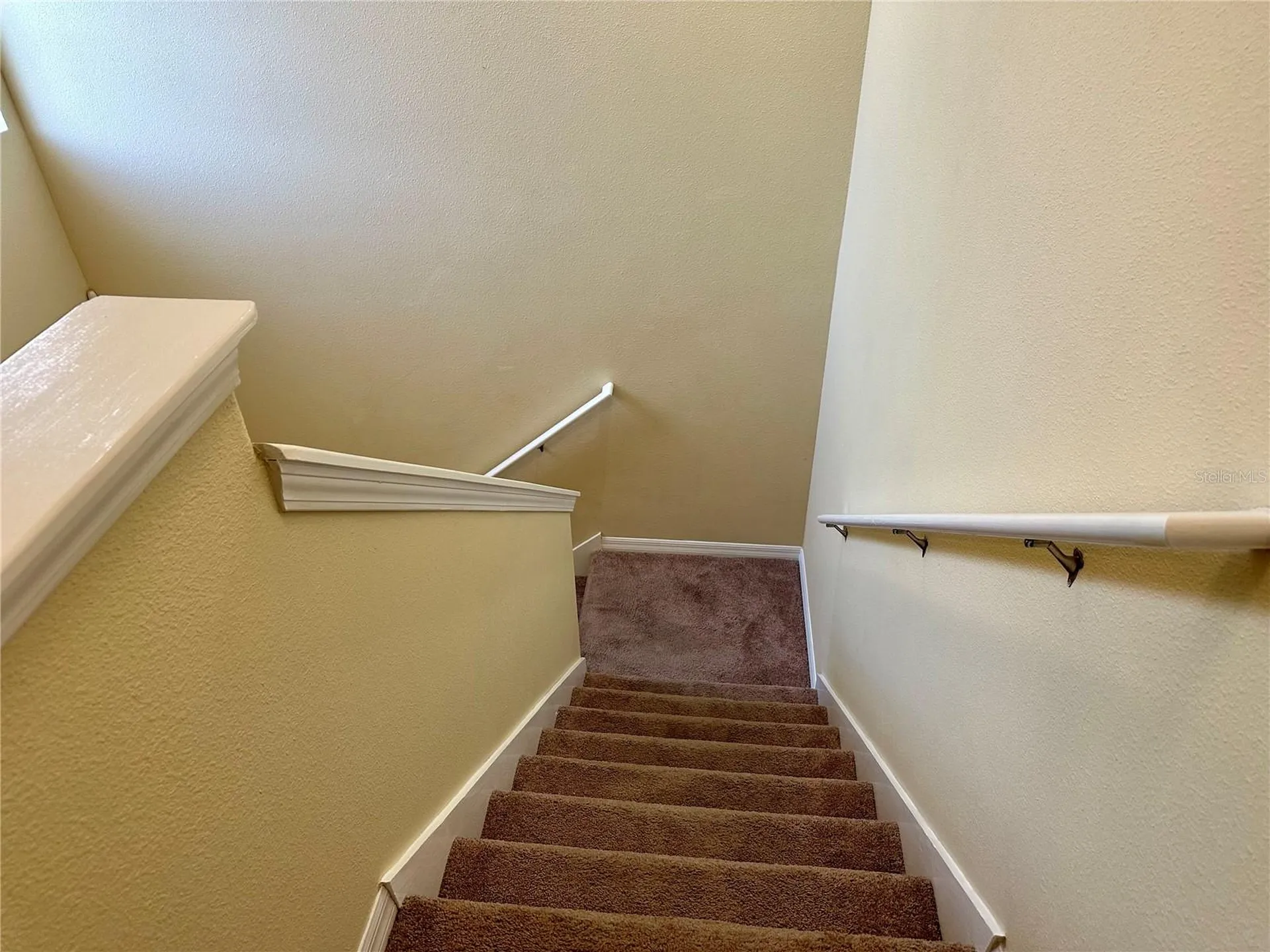 9908 Spice Bush Court Tampa FL 33647