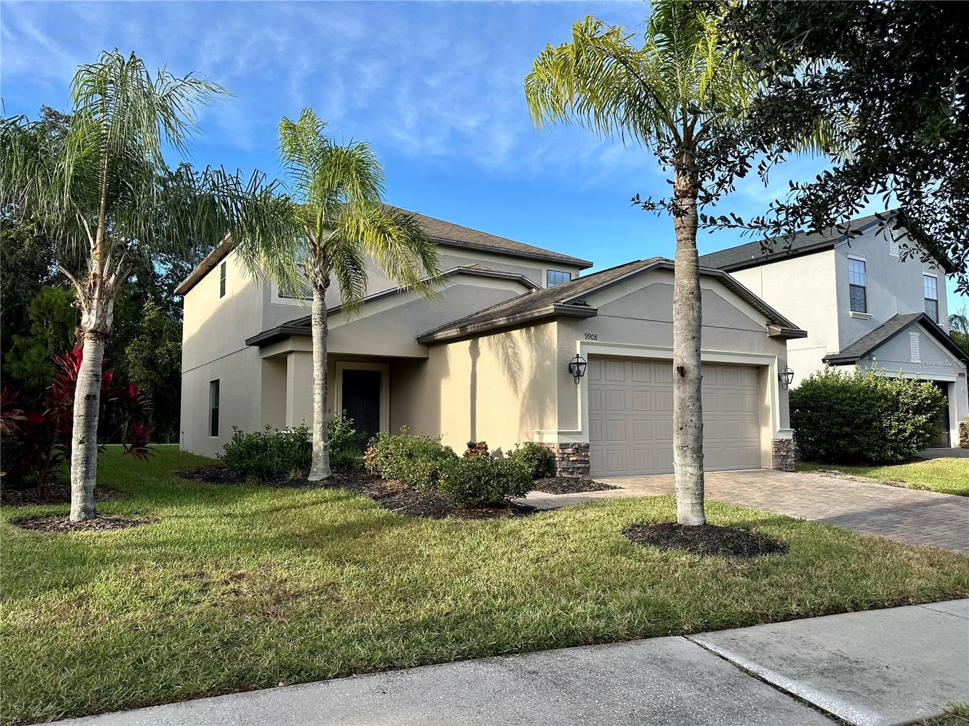 9908 Spice Bush Court Tampa FL 33647
