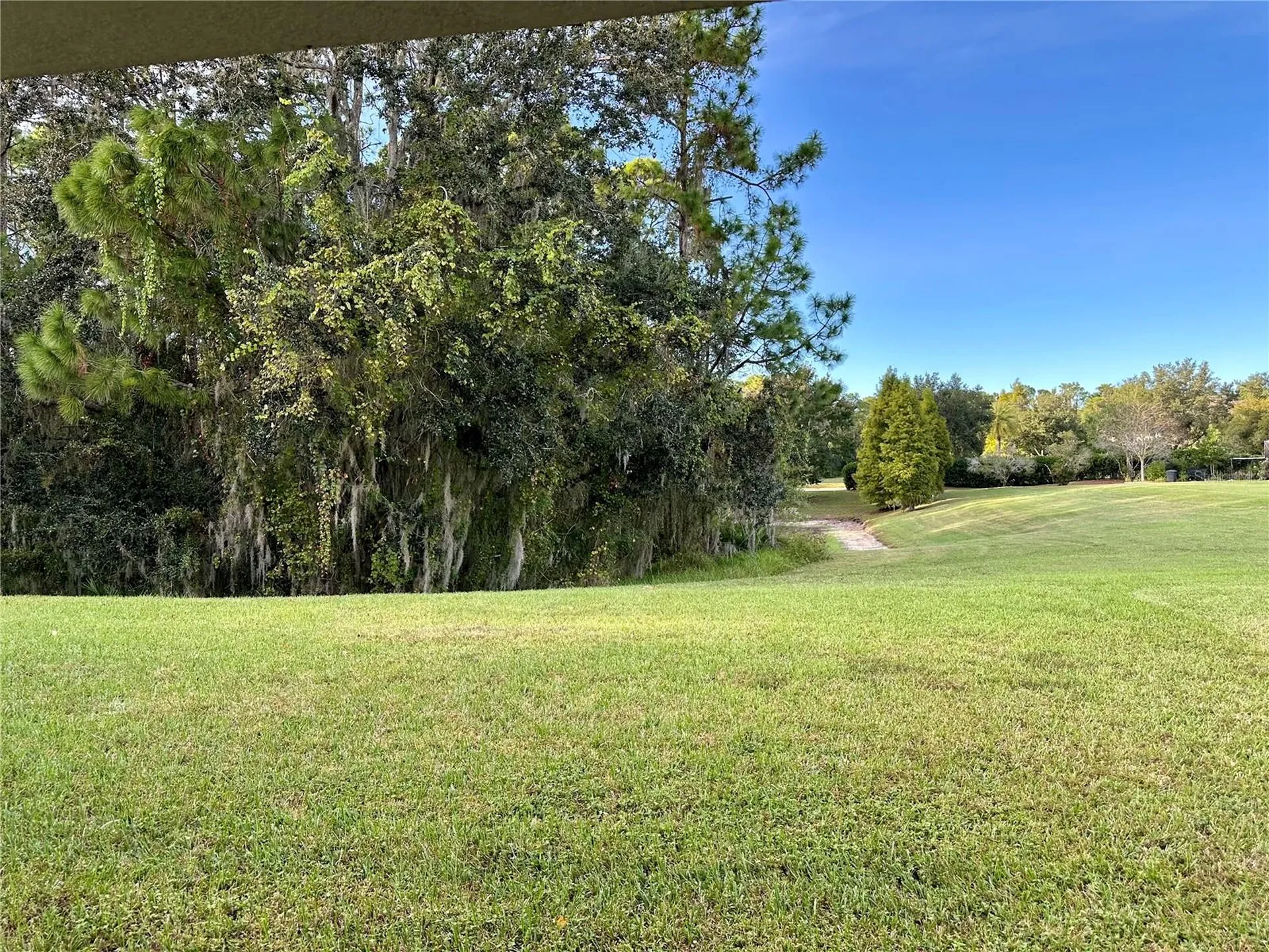 9908 Spice Bush Court Tampa FL 33647