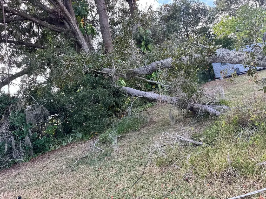 3402 Pearson Road Valrico FL 33596