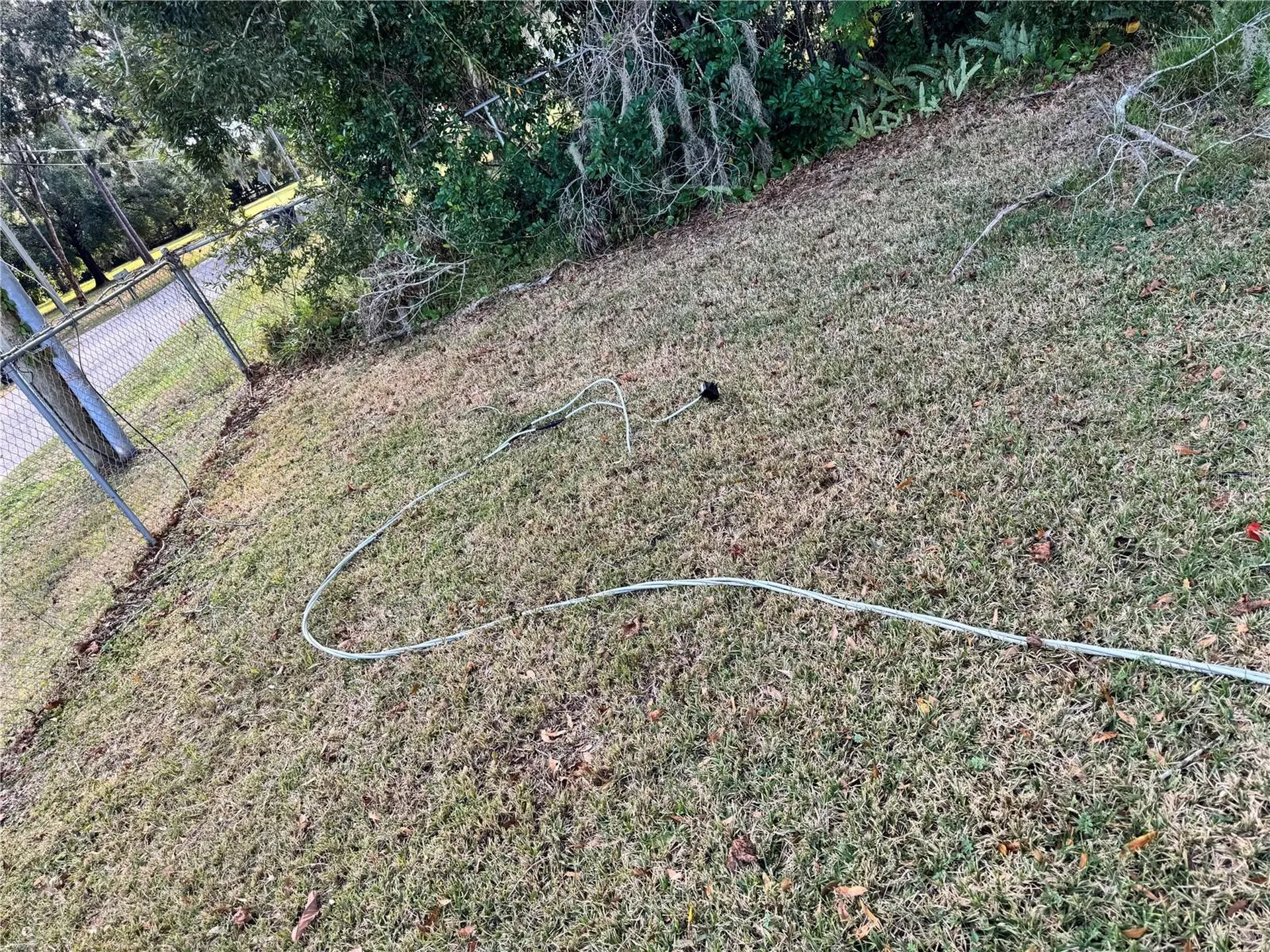 3402 Pearson Road Valrico FL 33596