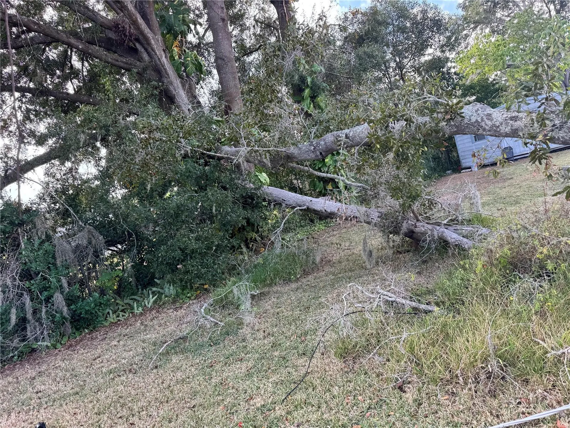 3402 Pearson Road Valrico FL 33596