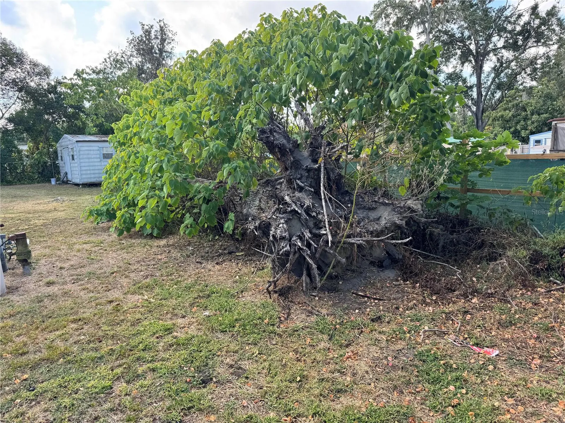 3402 Pearson Road Valrico FL 33596