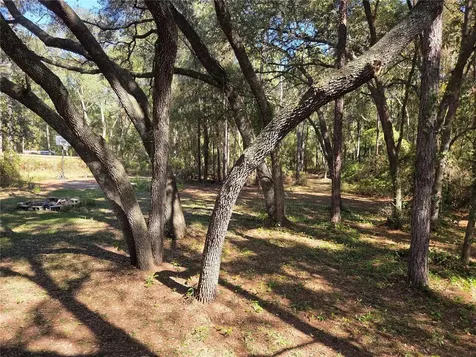 118 Lemon Street Melrose FL 32666