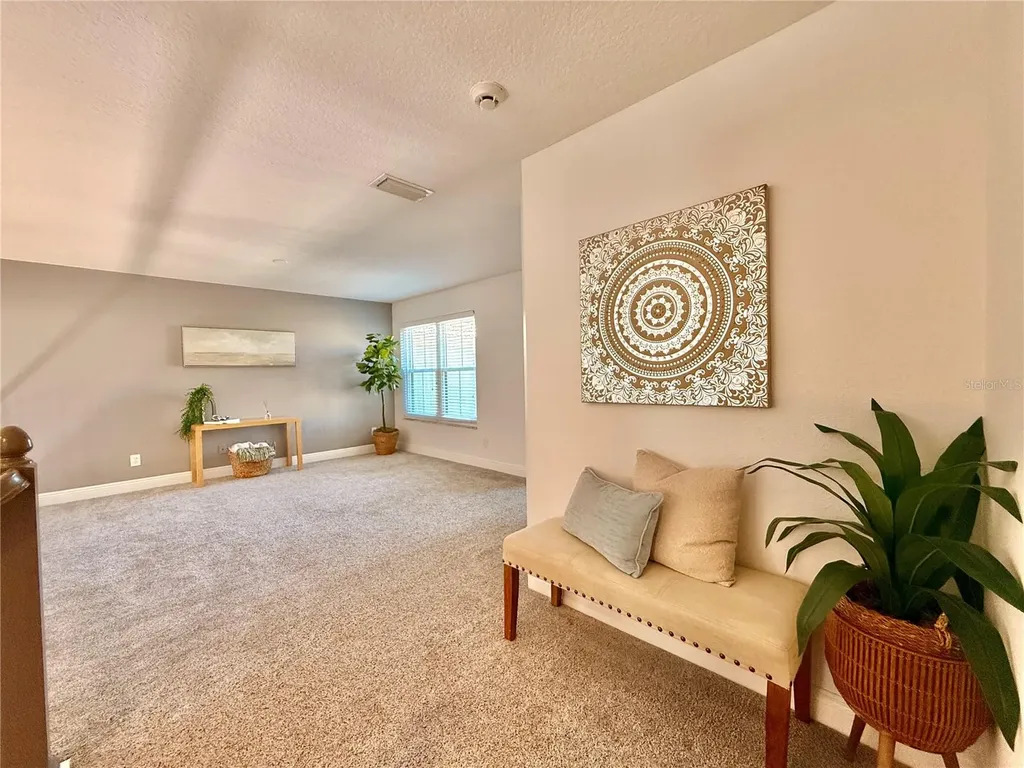 2524 Tranquility Drive Palm Harbor FL 34684