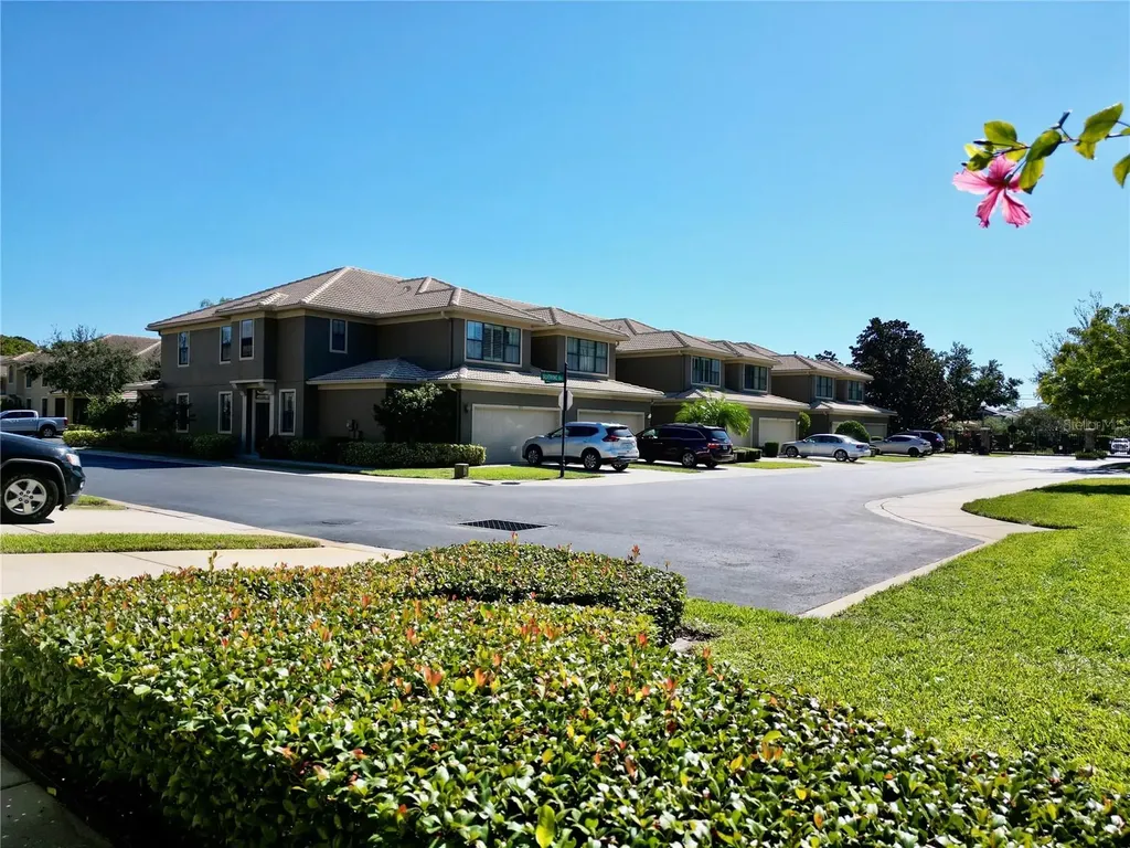 2524 Tranquility Drive Palm Harbor FL 34684