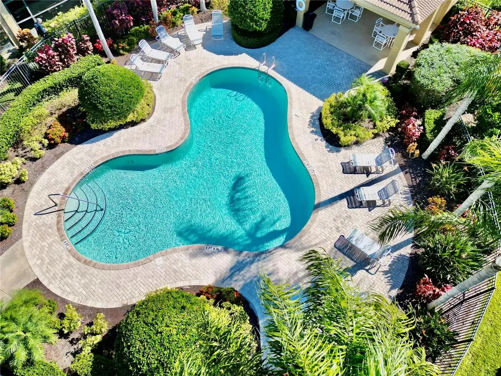 2524 Tranquility Drive Palm Harbor FL 34684