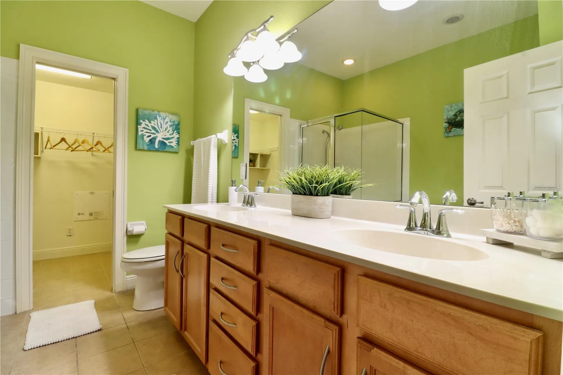 2524 Tranquility Drive Palm Harbor FL 34684