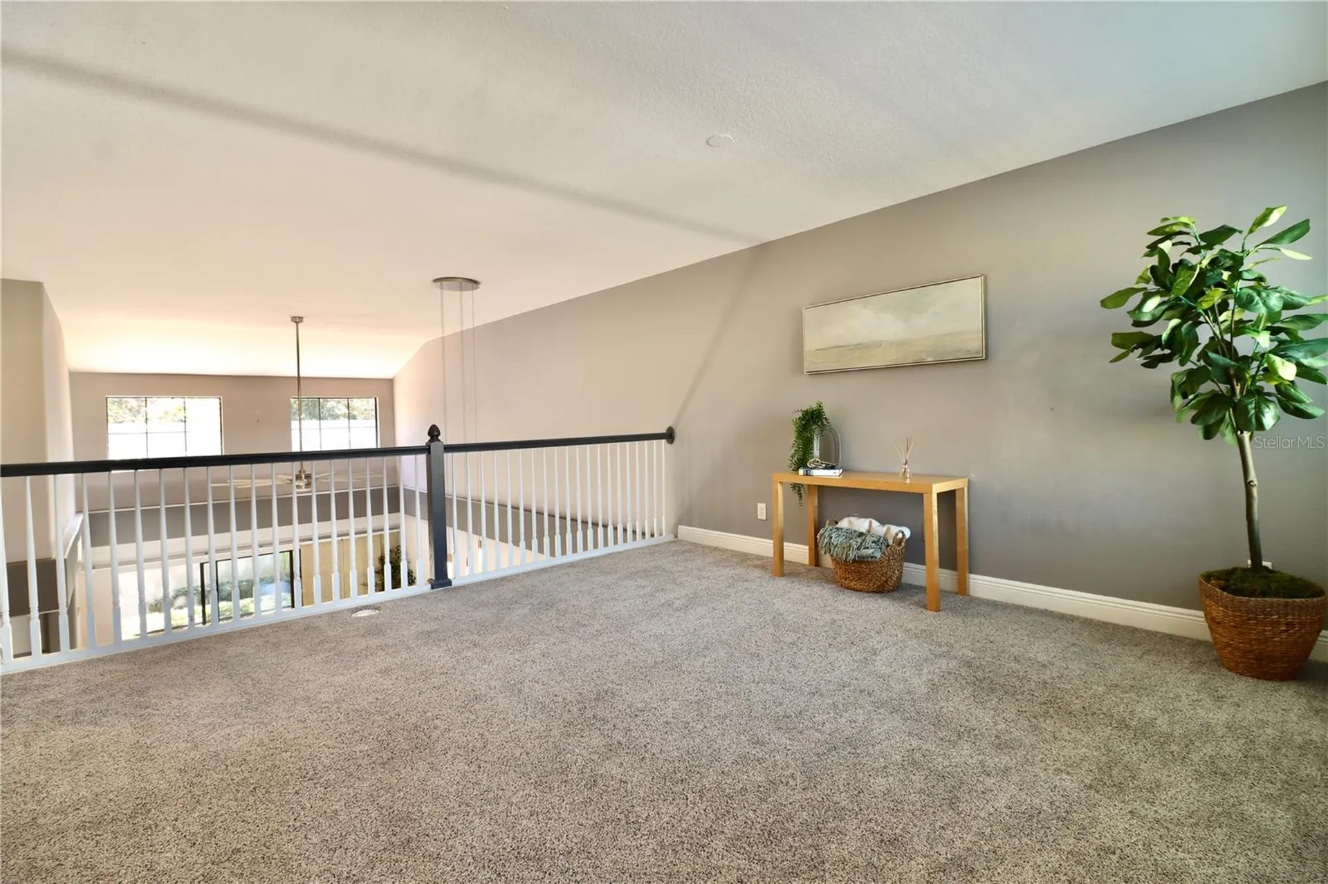 2524 Tranquility Drive Palm Harbor FL 34684