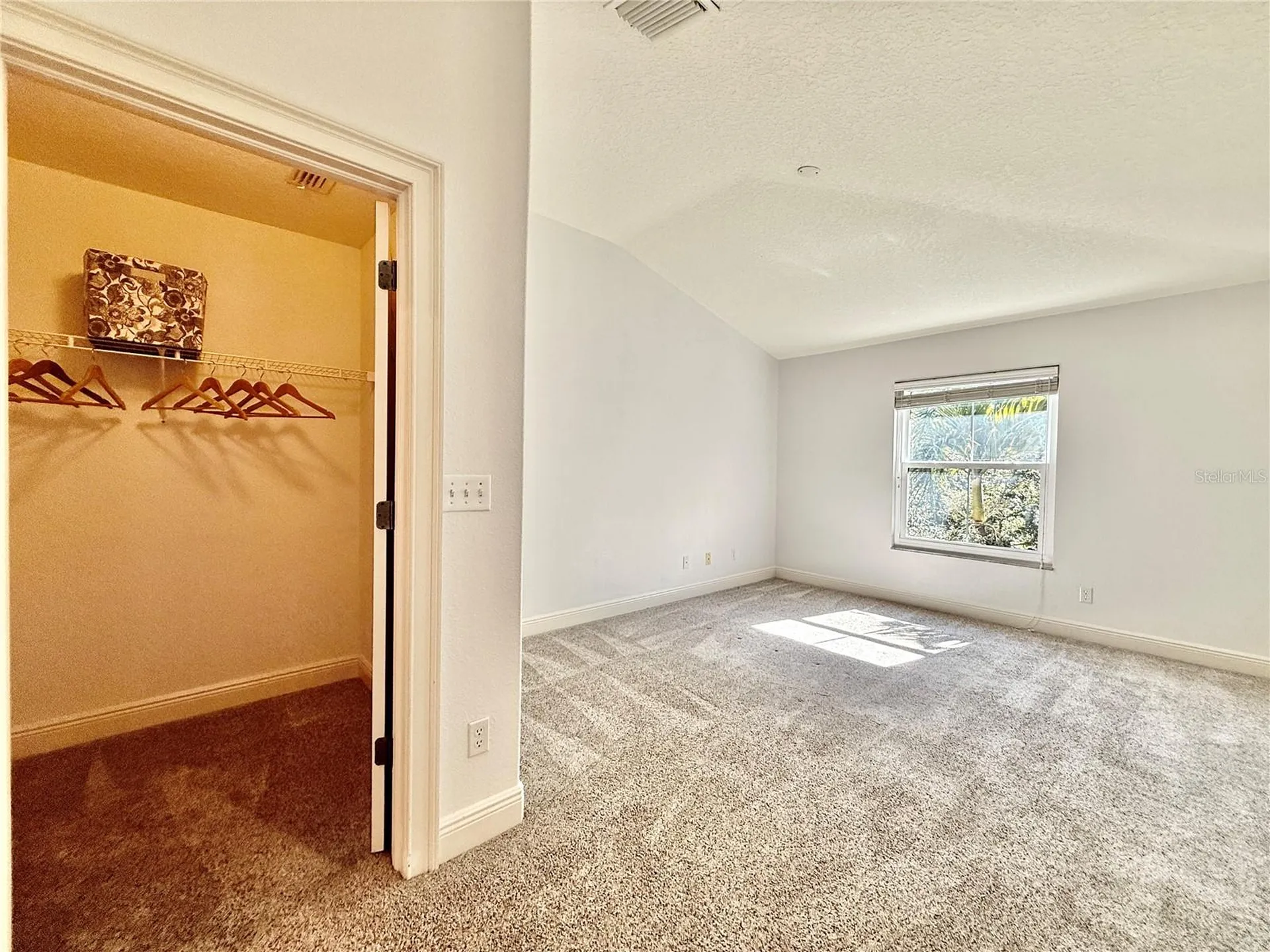 2524 Tranquility Drive Palm Harbor FL 34684