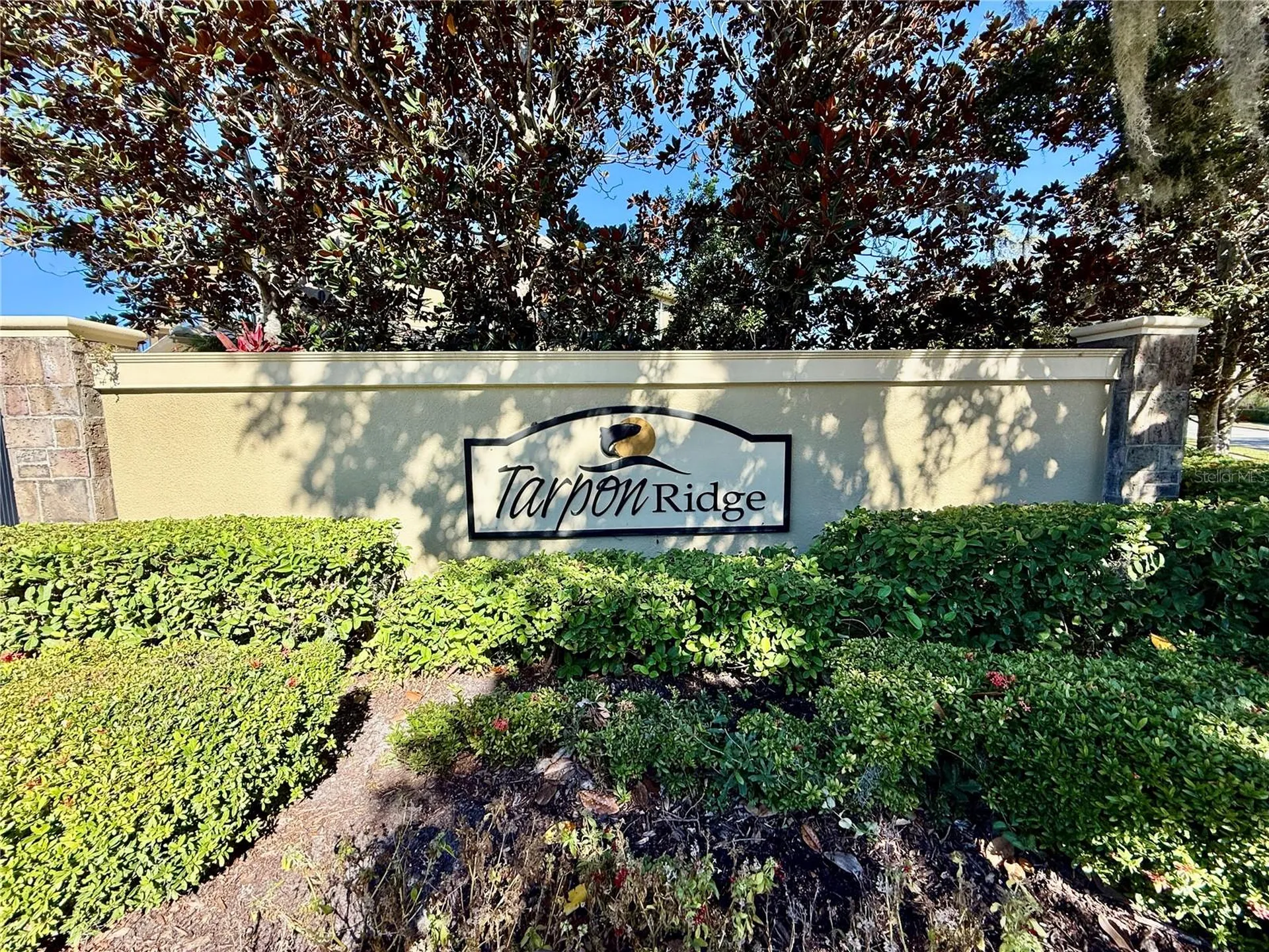 2524 Tranquility Drive Palm Harbor FL 34684