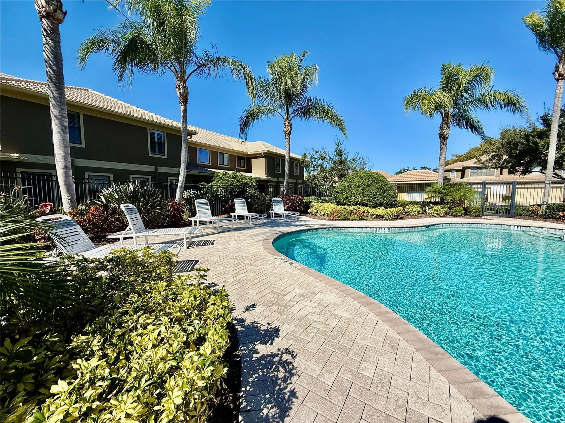 2524 Tranquility Drive Palm Harbor FL 34684