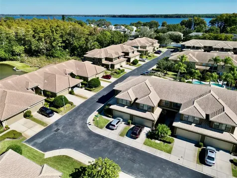 2524 Tranquility Drive Palm Harbor FL 34684