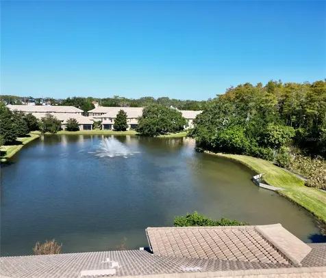 2524 Tranquility Drive Palm Harbor FL 34684