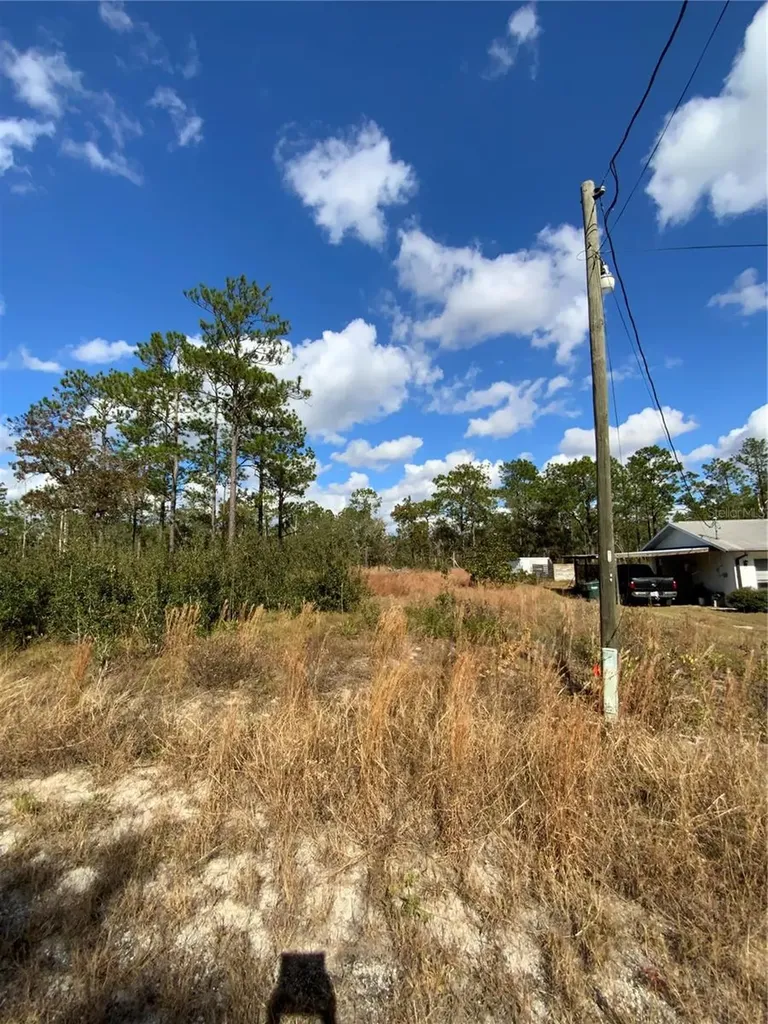 23063 SW Edgewater Boulevard Dunnellon FL 34431