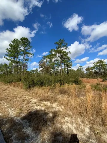 23063 SW Edgewater Boulevard Dunnellon FL 34431
