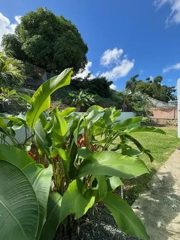 Urb. Altamira Calle 8 (mar) Fajardo PR 00738