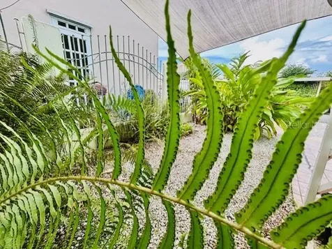 Urb. Altamira Calle 8 (mar) Fajardo PR 00738