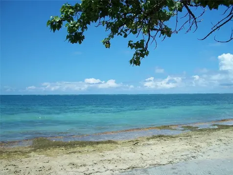 Urb. Altamira Calle 8 (mar) Fajardo PR 00738