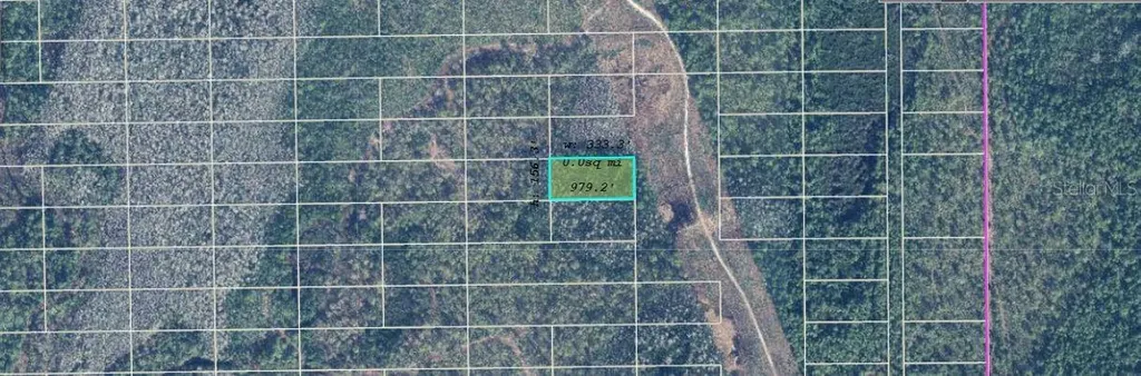 Dill Road Orlando FL 32820