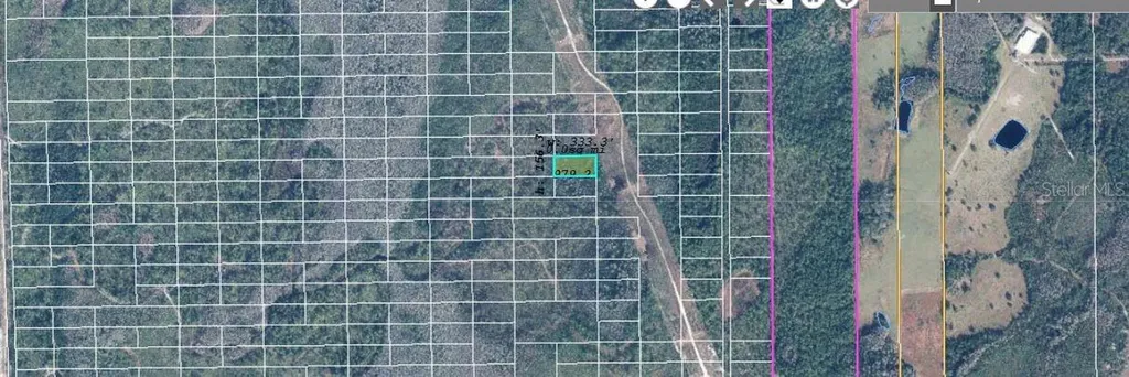 Dill Road Orlando FL 32820