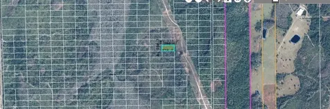 Dill Road Orlando FL 32820
