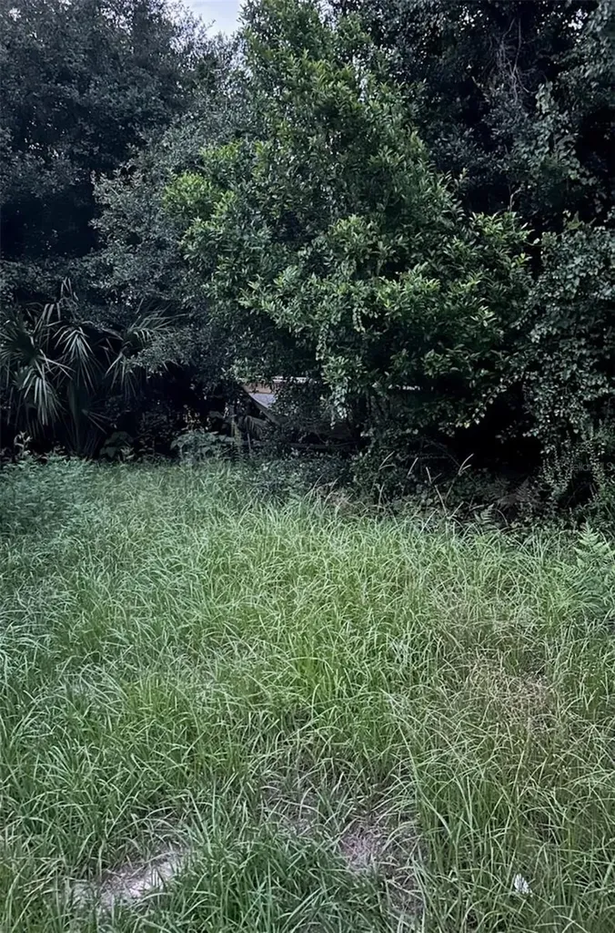 SE 135 Lane Umatilla FL 32784