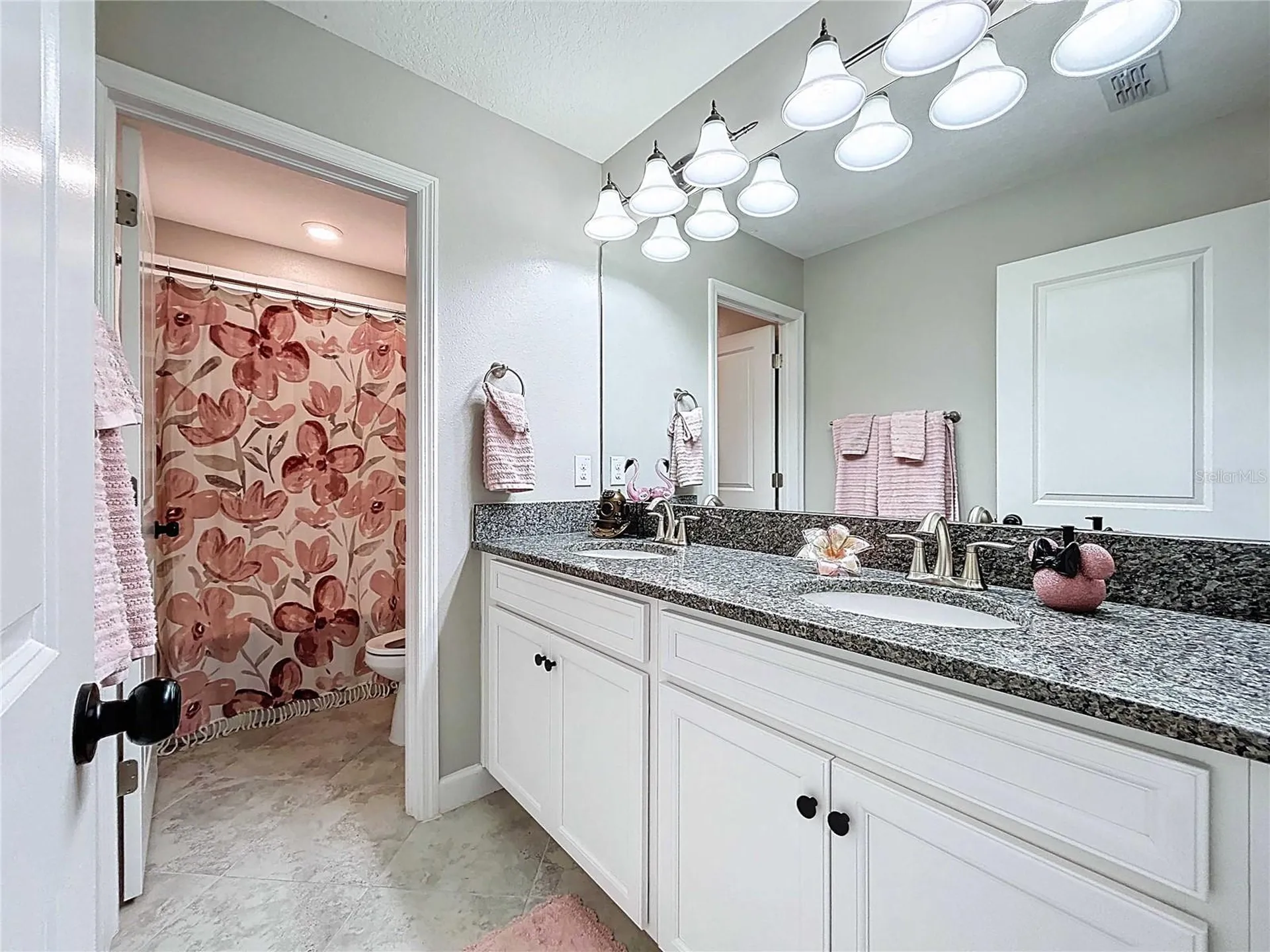 11411 Chilly Water Court Riverview FL 33569