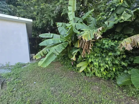 3.9 Km Bo Juan Martin Yabucoa PR 00767