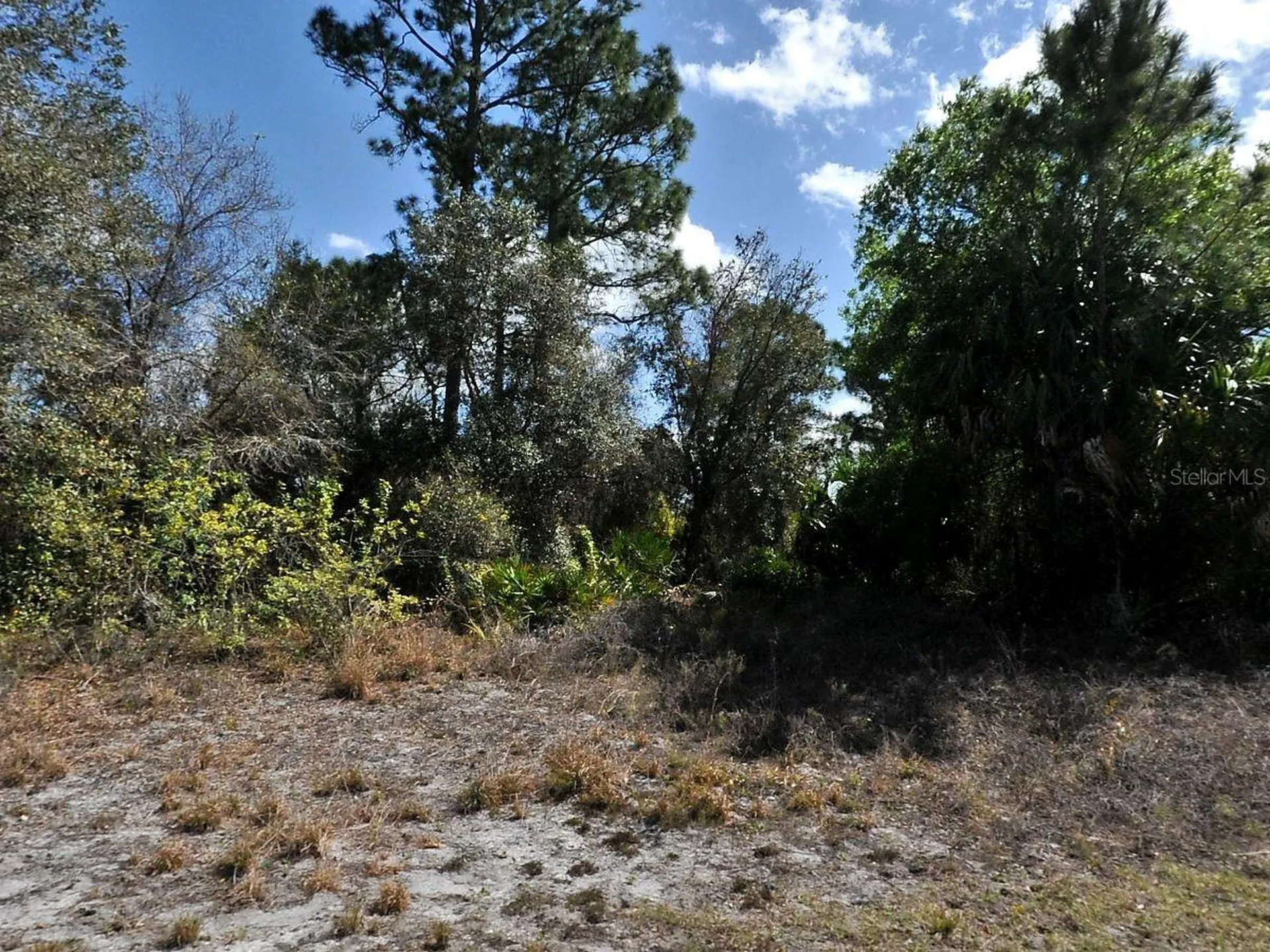 Gaskins Circle North Port FL 34288