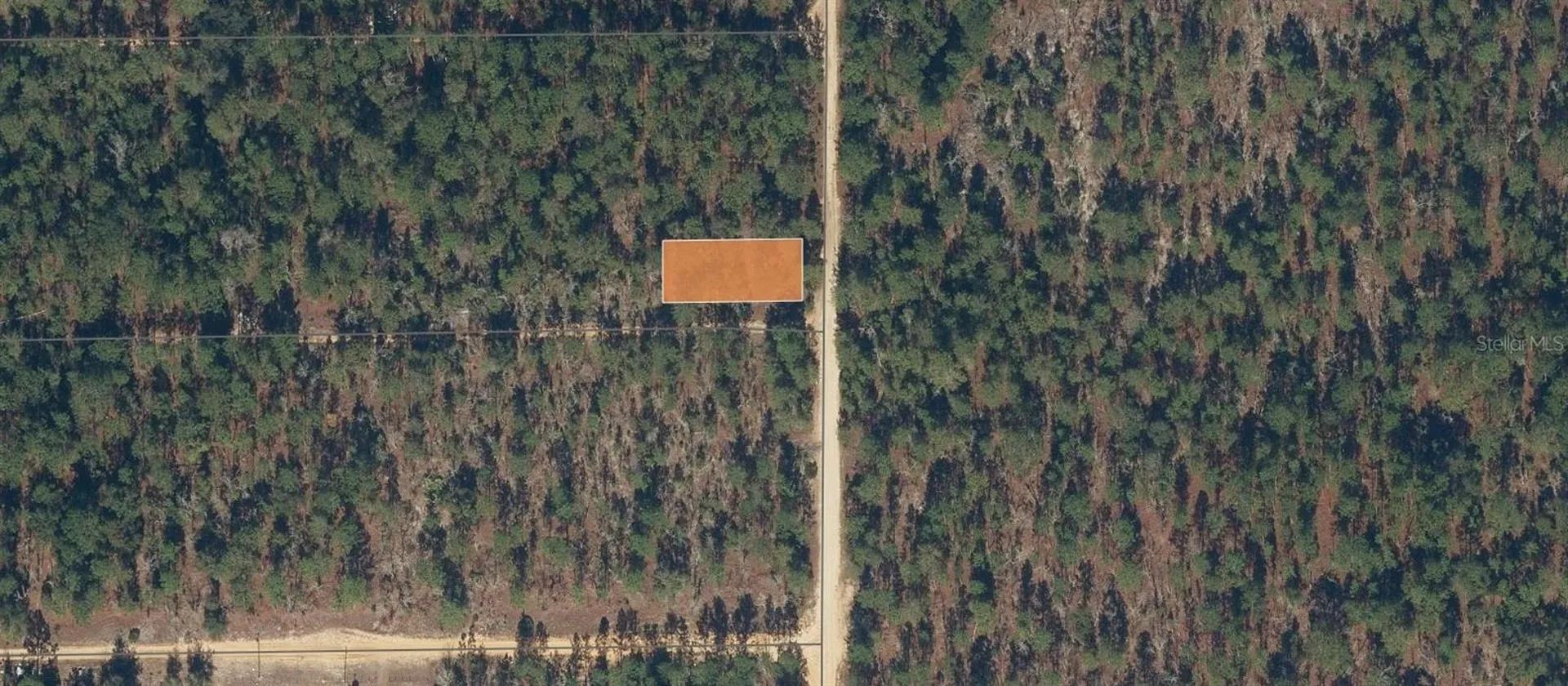 175 Park Avenue Interlachen FL 32148