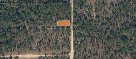 175 Park Avenue Interlachen FL 32148