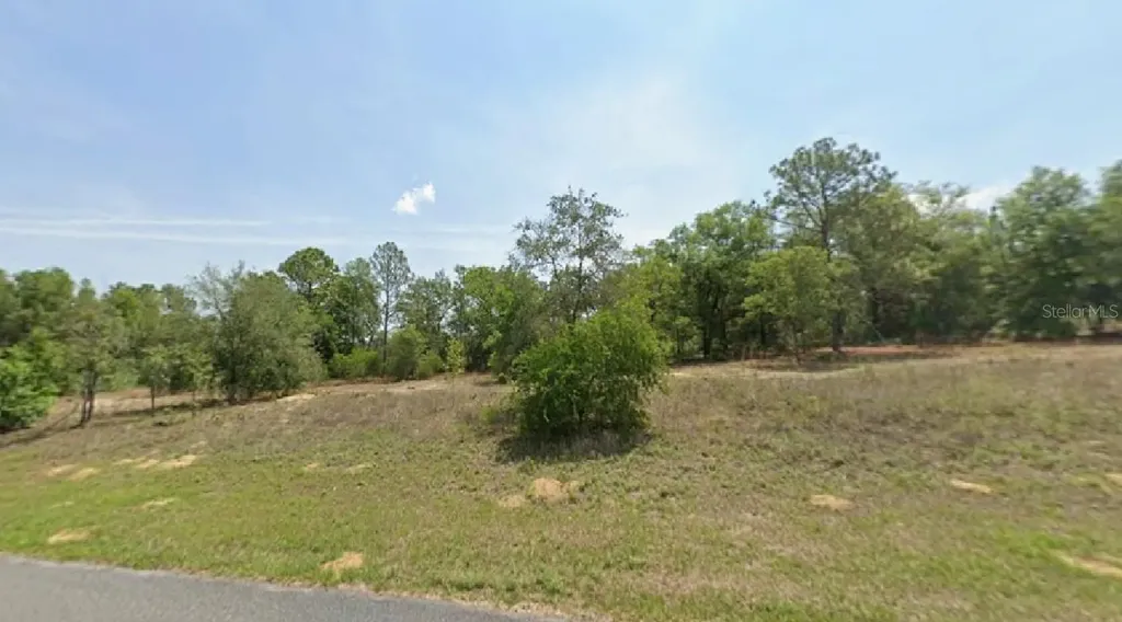 2047 W Magenta Drive Citrus Springs FL 34434