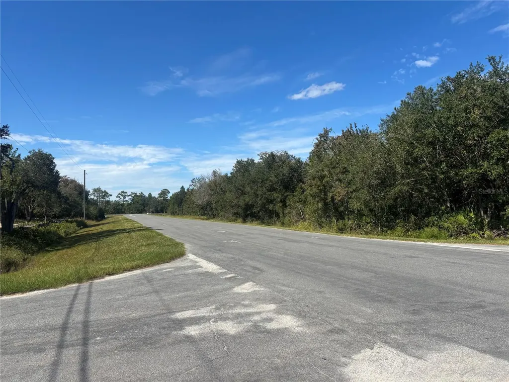 Coronet Avenue Orlando FL 32833