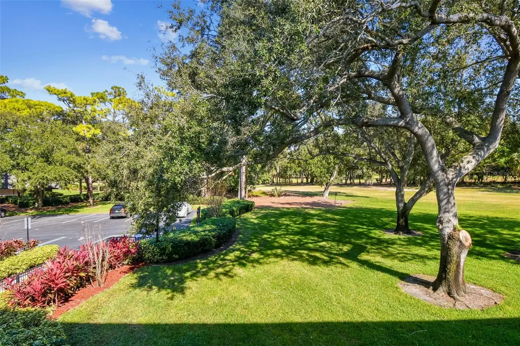 36750 Us Highway 19 N Palm Harbor FL 34684