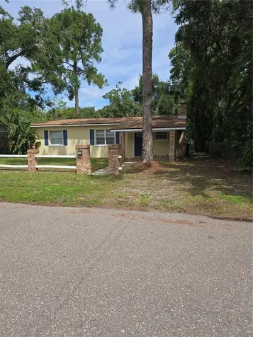 1510 E Shadowlawn Avenue Tampa FL 33610