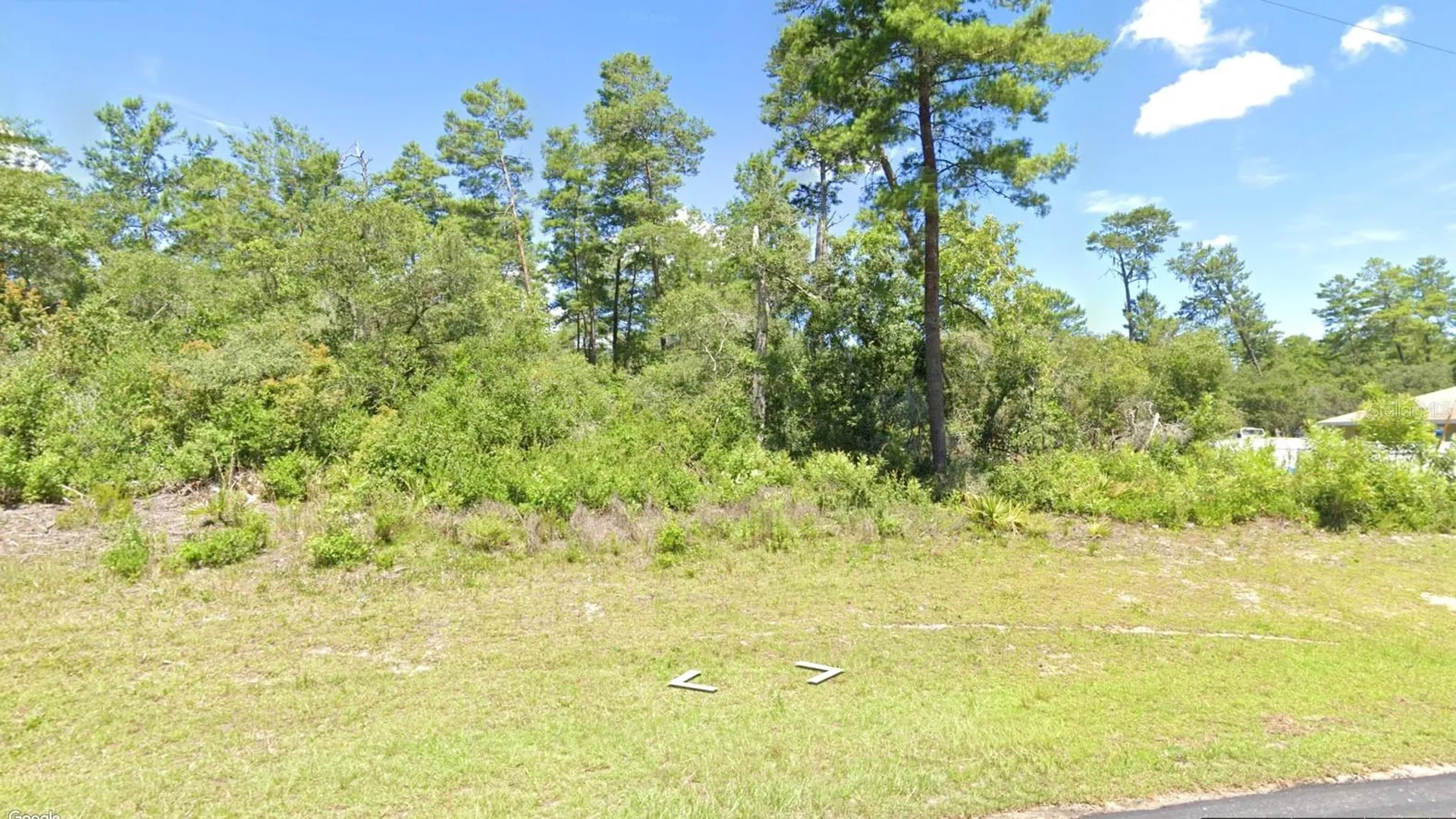 Marion Oak Ocala FL 34473