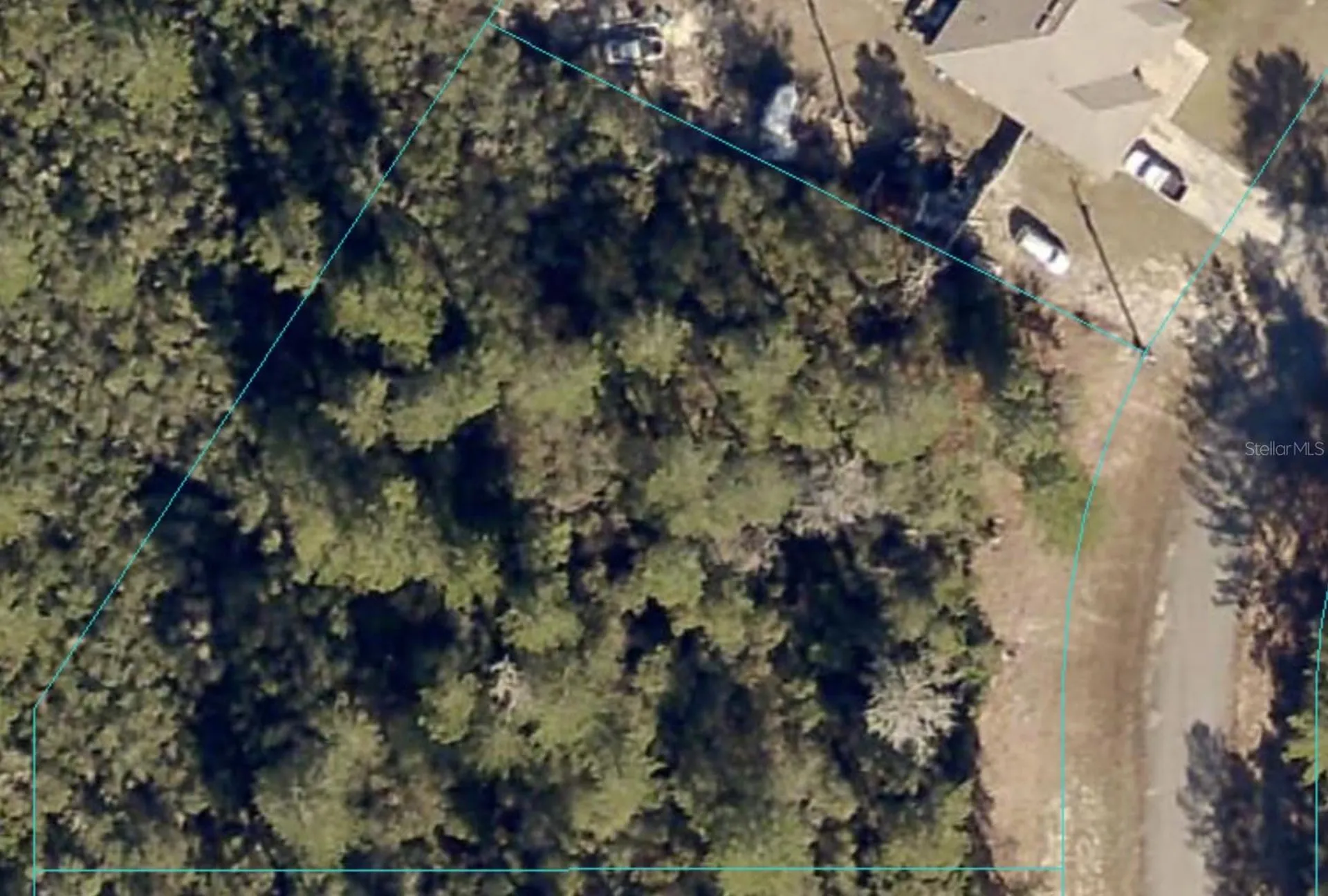Marion Oak Ocala FL 34473