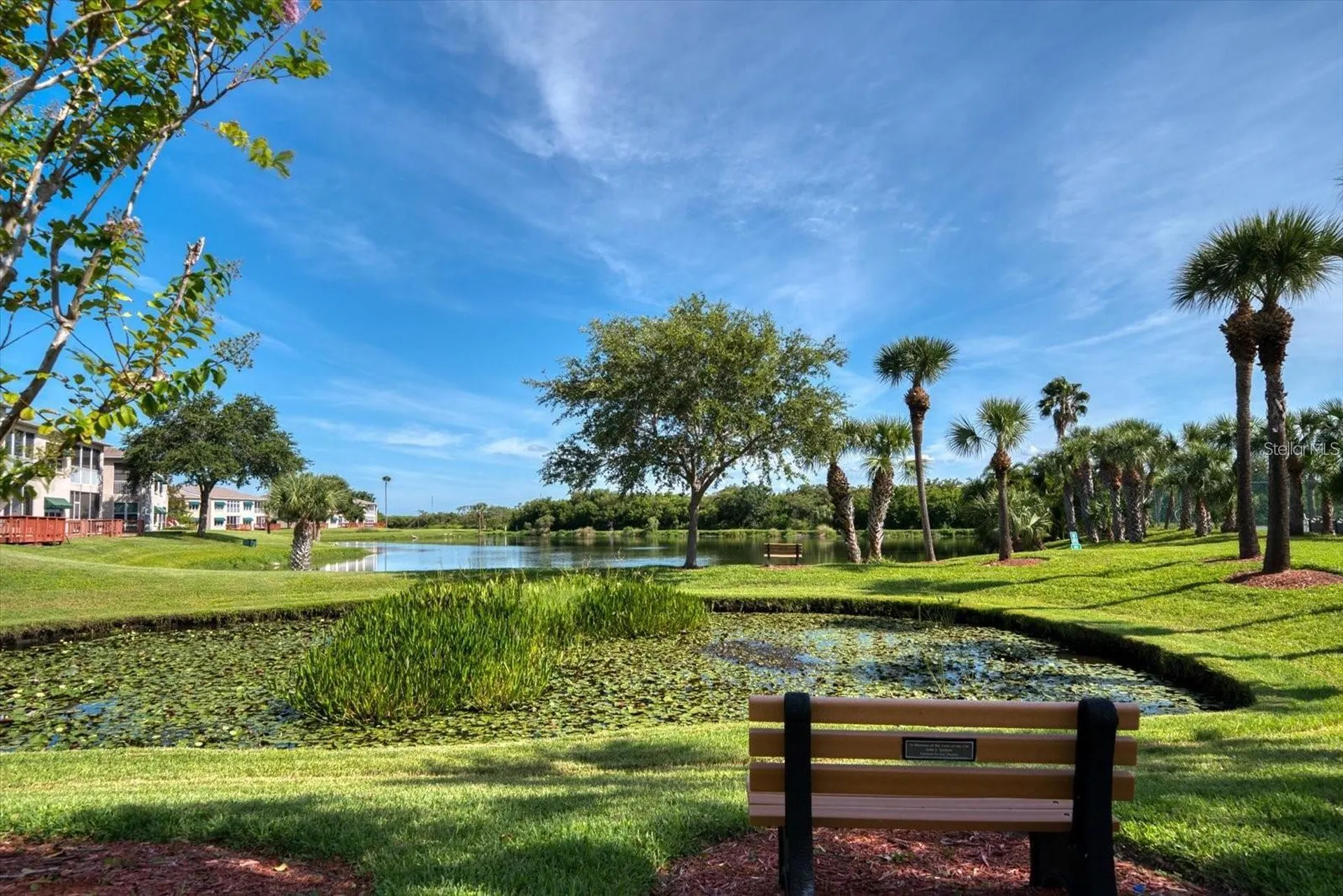 10032 65th Avenue N St Petersburg FL 33708