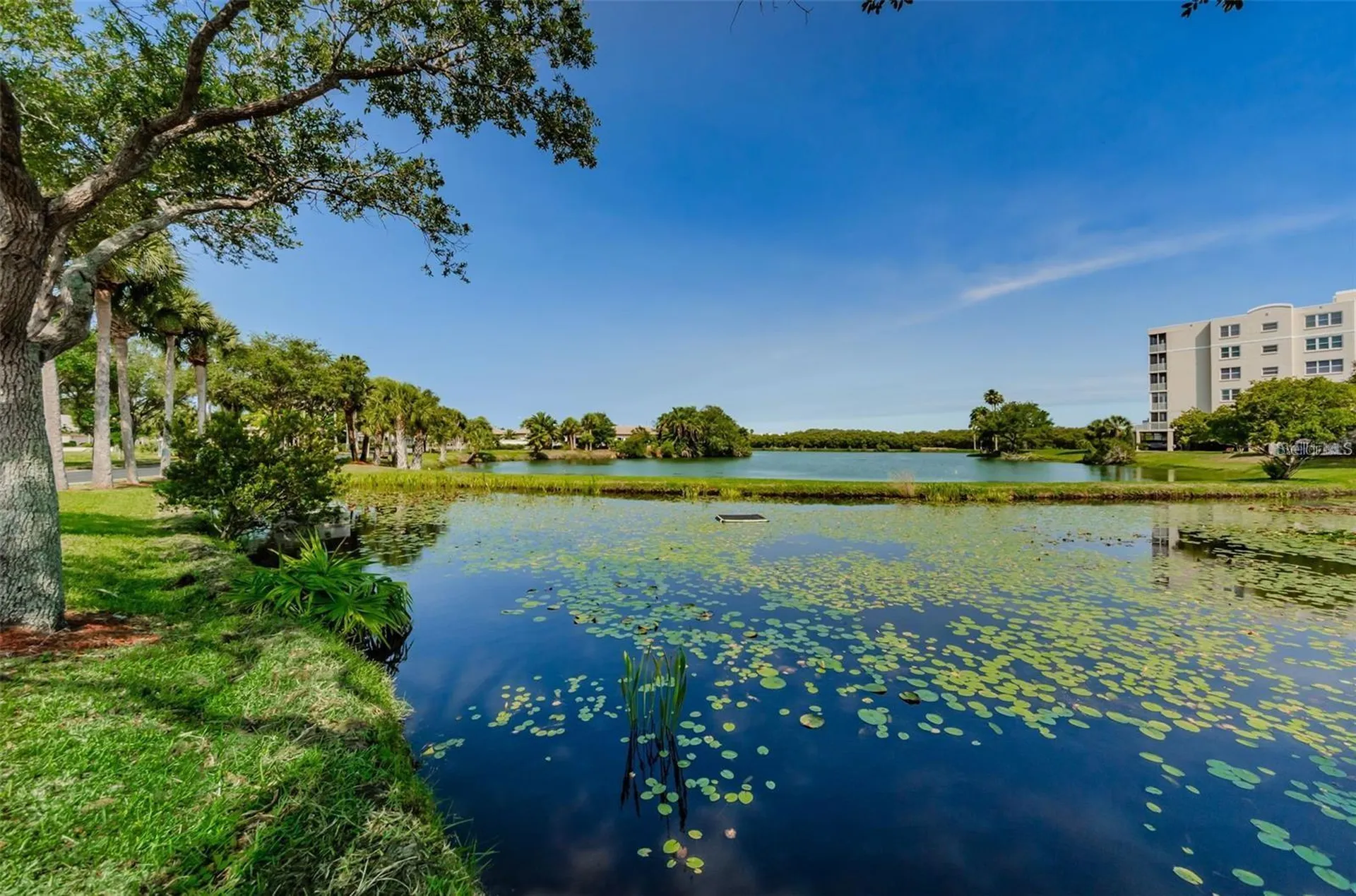10032 65th Avenue N St Petersburg FL 33708