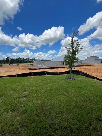 1652 Cadence Street Minneola FL 34715