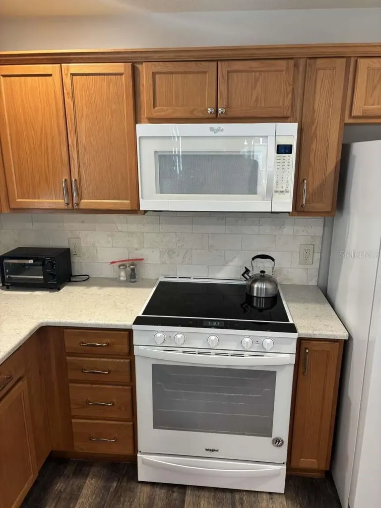 1067 Carver Court The Villages FL 32163
