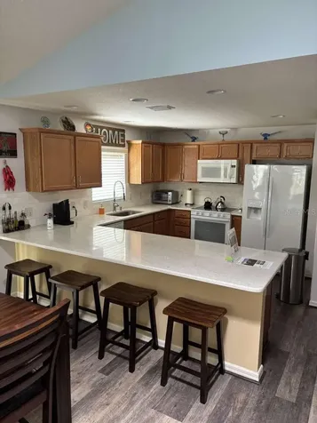 1067 Carver Court The Villages FL 32163